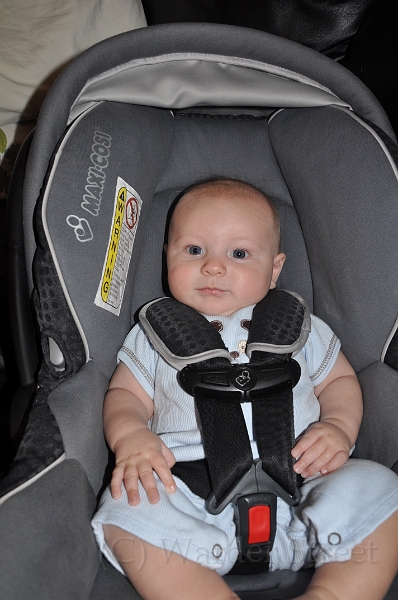 William's Fourteenth Week 24.jpg